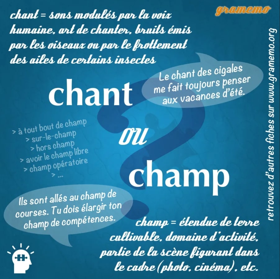 résumé sens champ ou chant