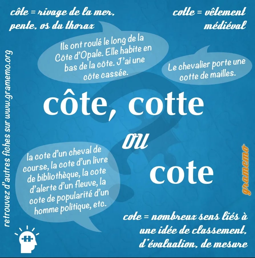 homophones cote côte cotte orthographe