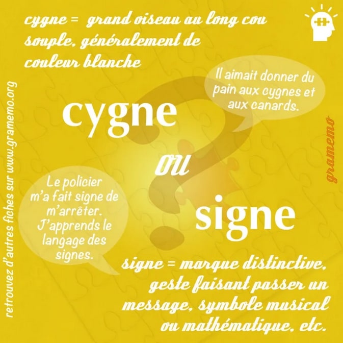 cygne signe homophones orthographe Megadico
