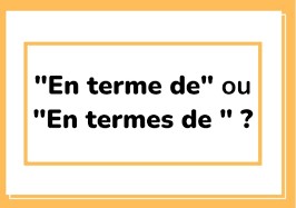 en terme en termes de homophones orthographe Megad