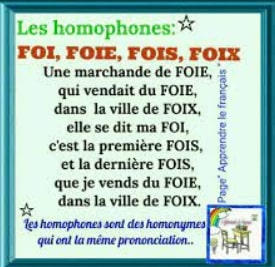 résumé homophones homonymes foi foie fois Foix Megadico