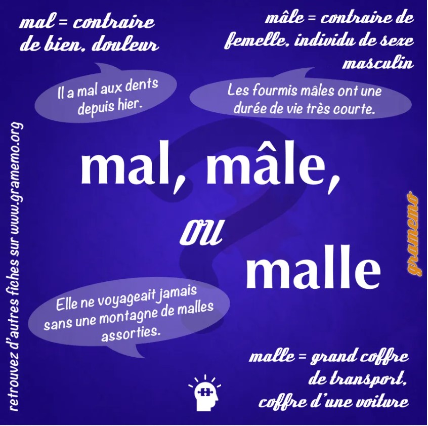 mal mâle malle homophones orthographe Megadico