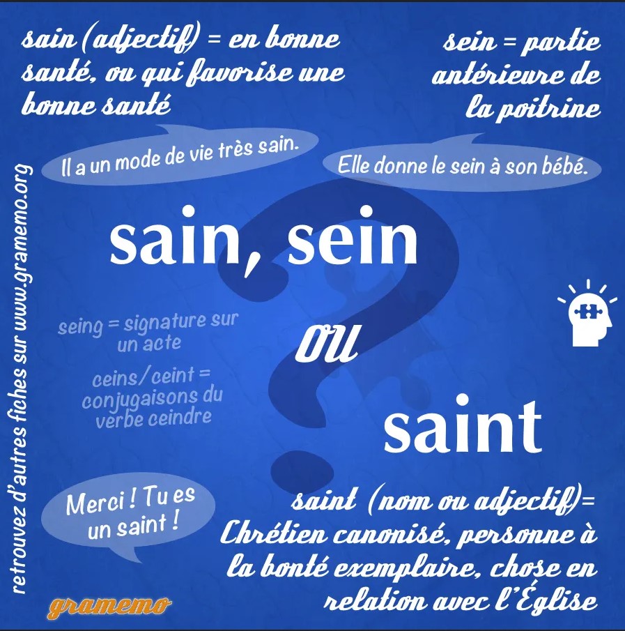 sain sein saint homophones orthographe Megadico