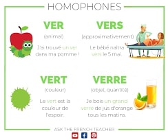 ver verre vers vert orthographe homophones Megadico